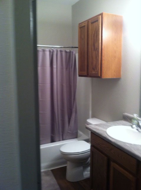 Apartment bathroom and vanity